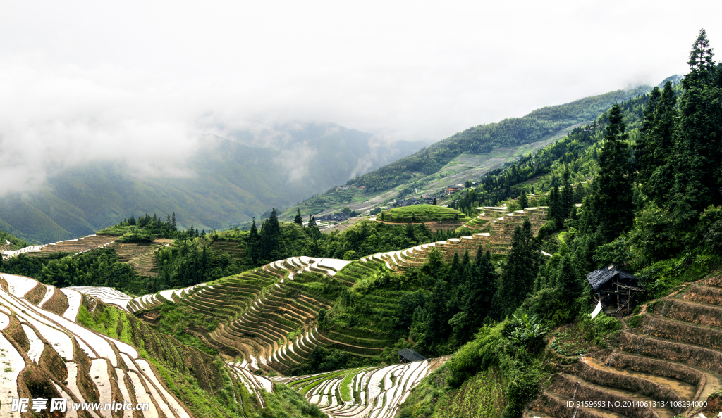 龙脊梯田全景图