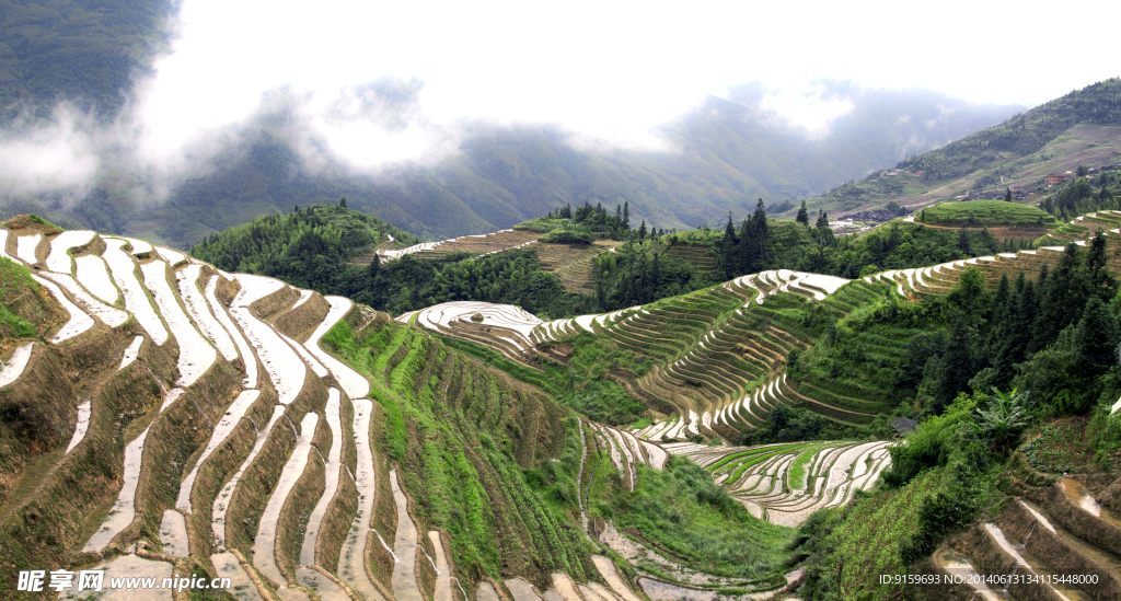 龙脊梯田全景图