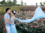 婚纱照