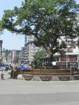 城市