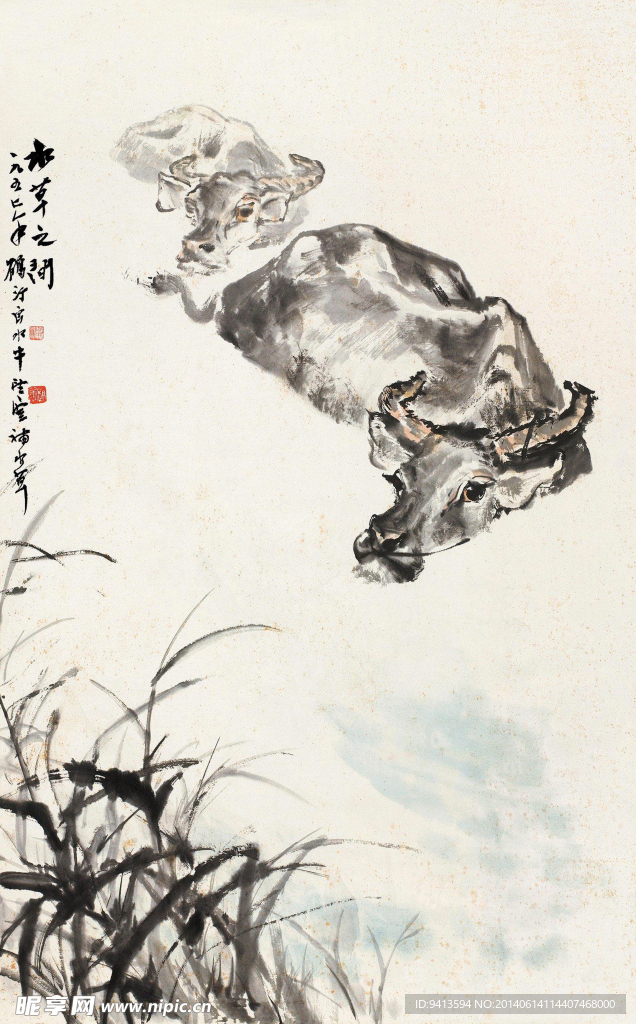 水草之间