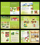 绿色 食品 画册