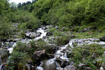 高山流水
