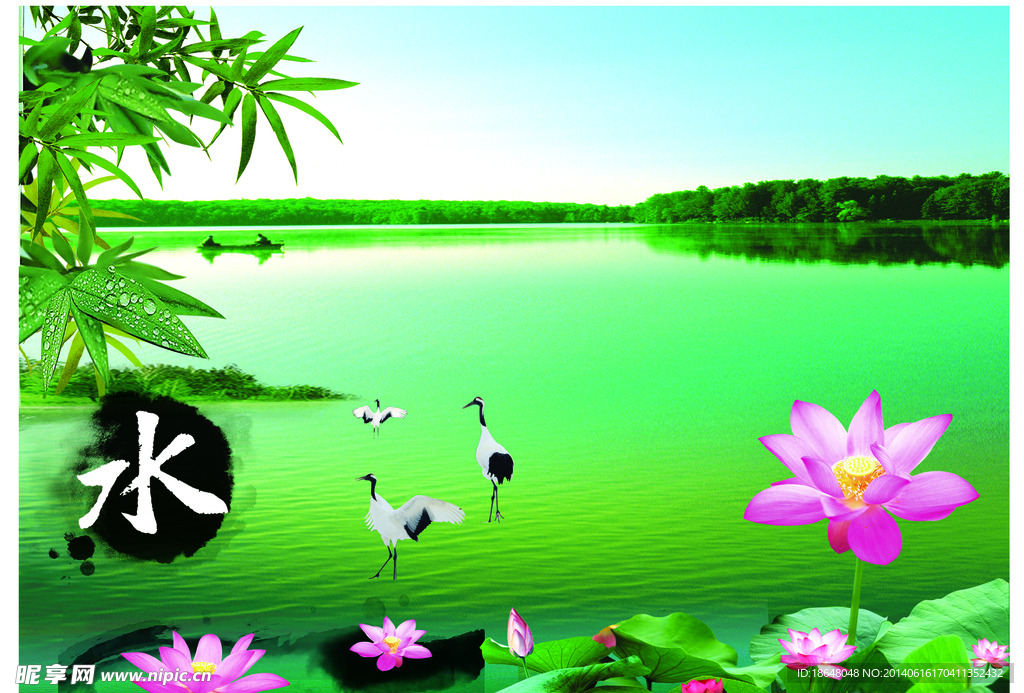 荷塘仙鹤绿湖