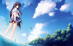 夏之雨
