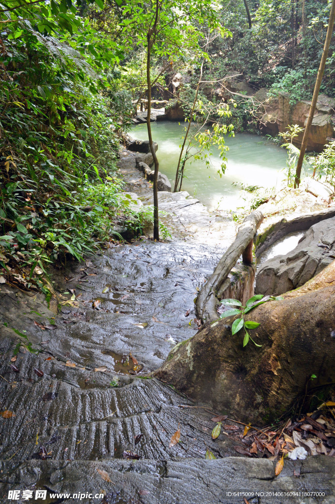 清远森林山水