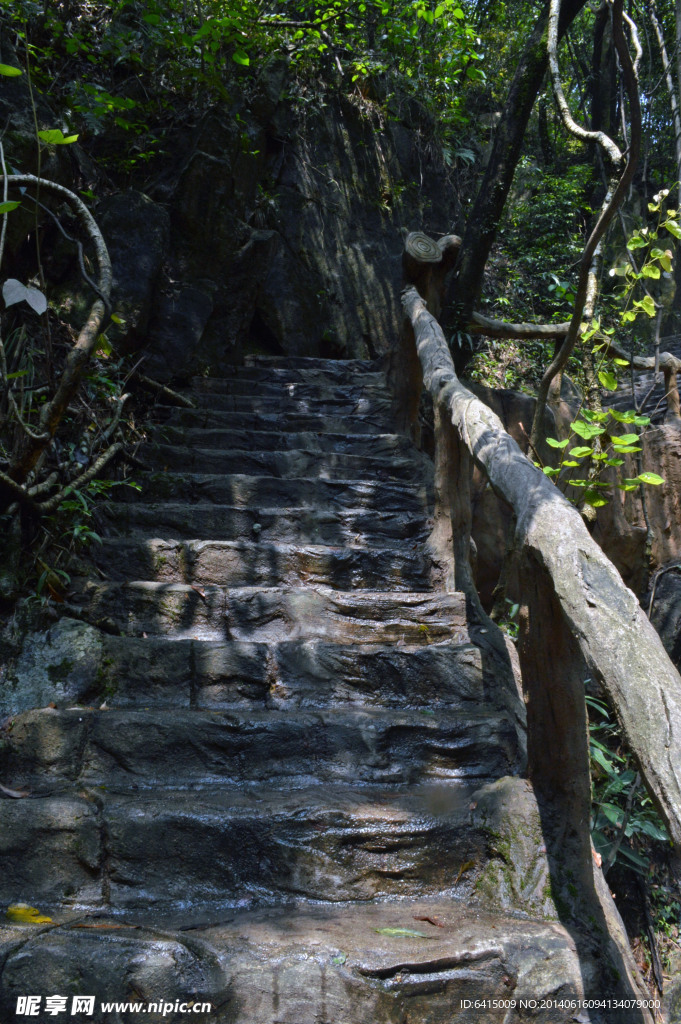 清远森林山水