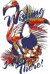 大嘴鸟
