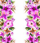 花卉