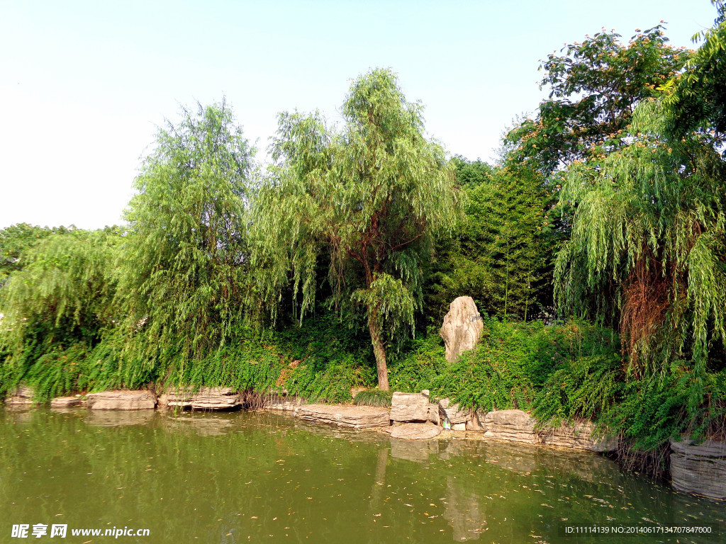 园林风景