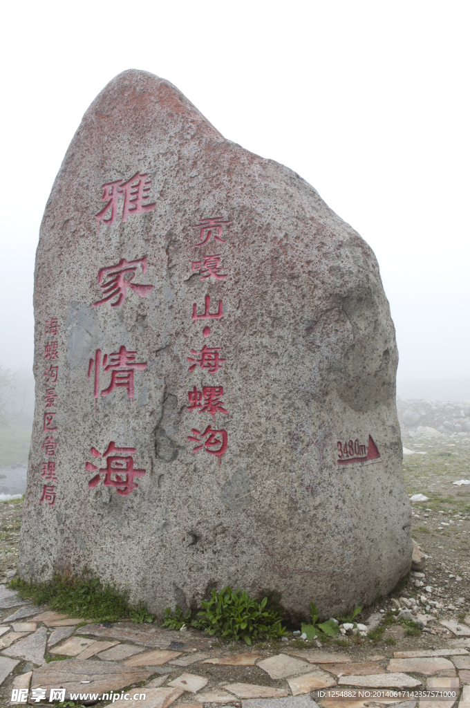 雅家情海