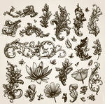植物花纹