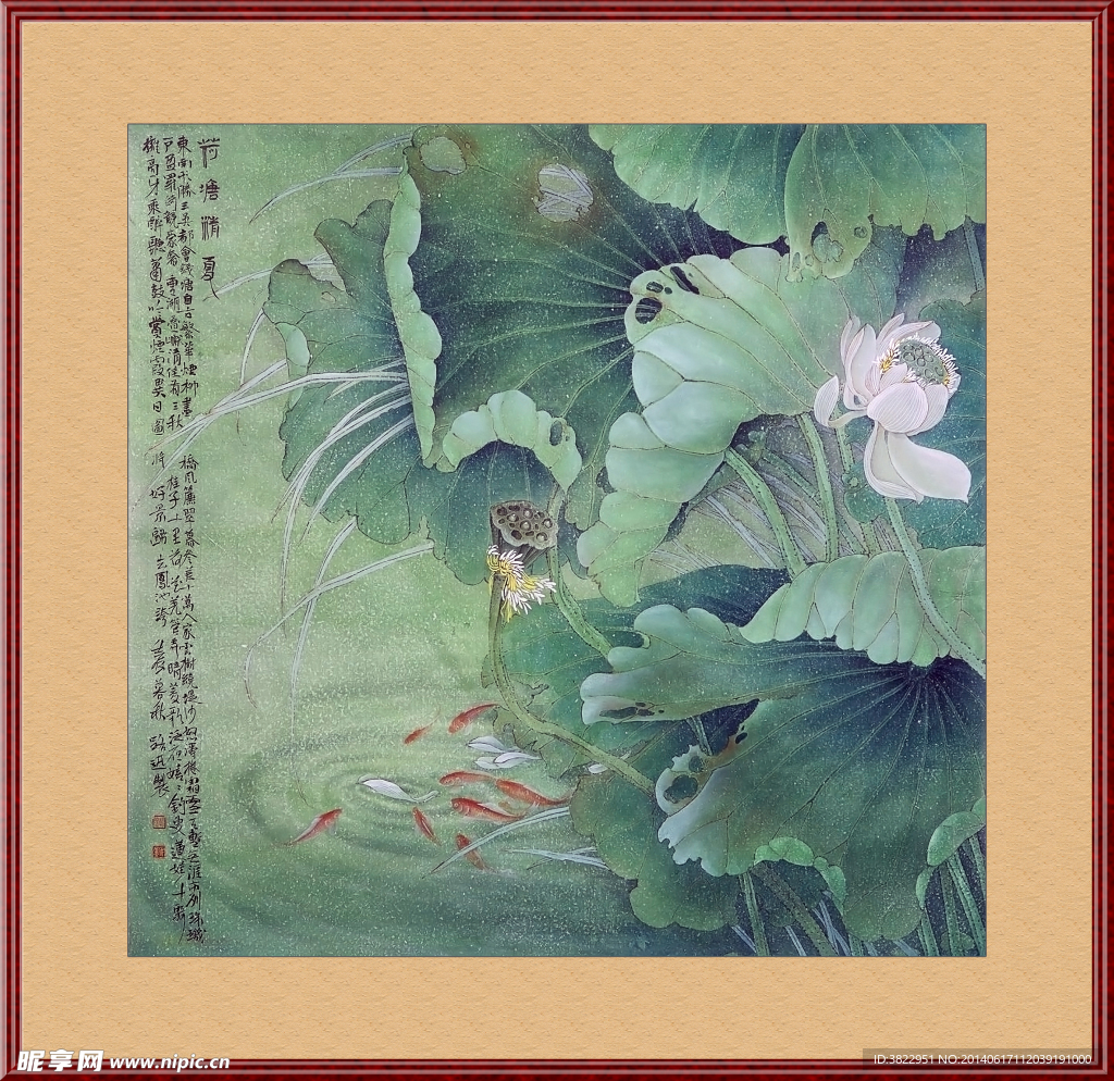 荷花工笔画