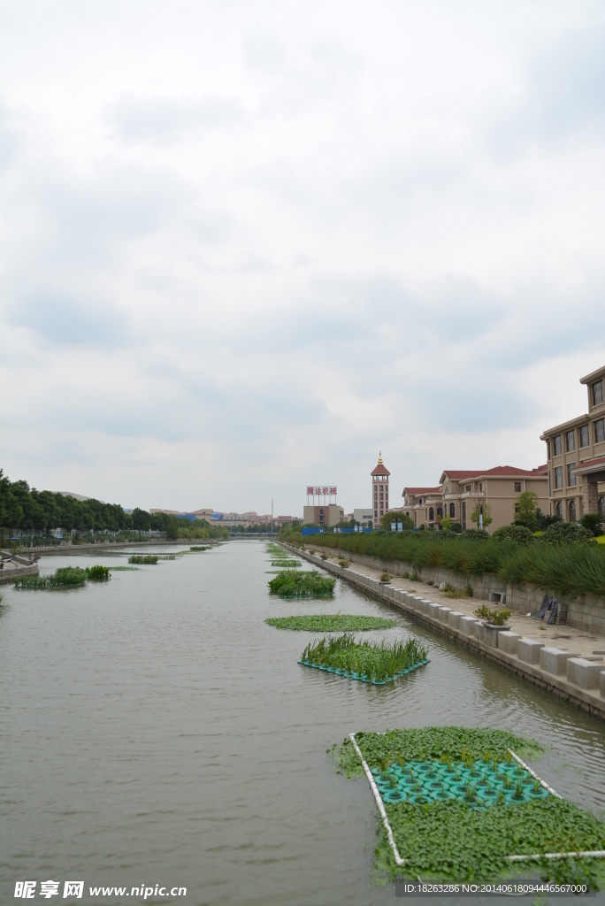 河边风景