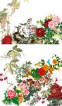 牡丹花