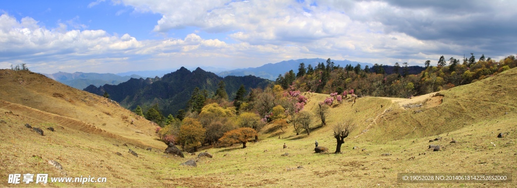 老君山国家公园-高山草甸