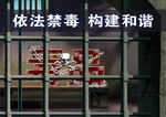 依法禁毒 构建和谐