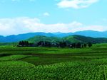 绿色乡村