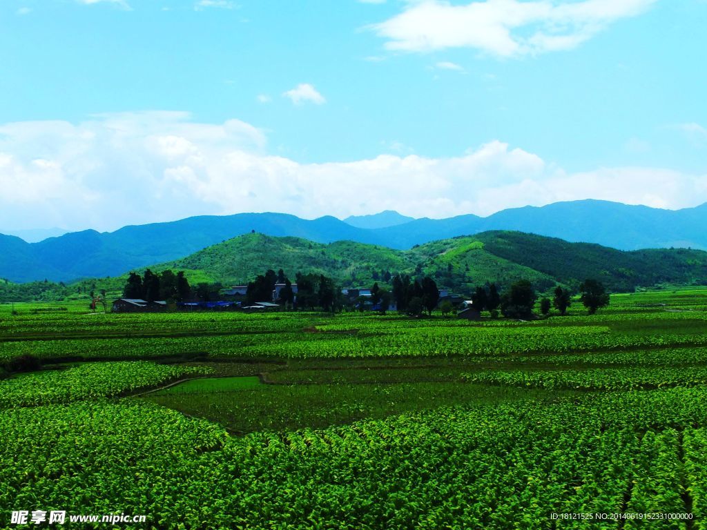 绿色乡村