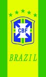巴西队旗