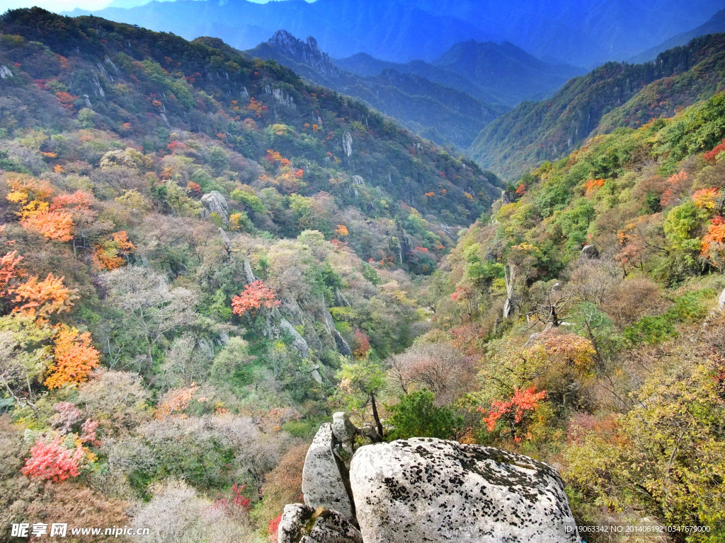 洛阳伏牛山