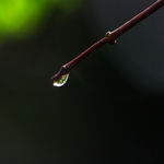 水滴