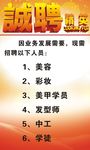 招聘精英