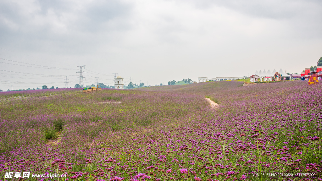 紫颐 香薰山谷