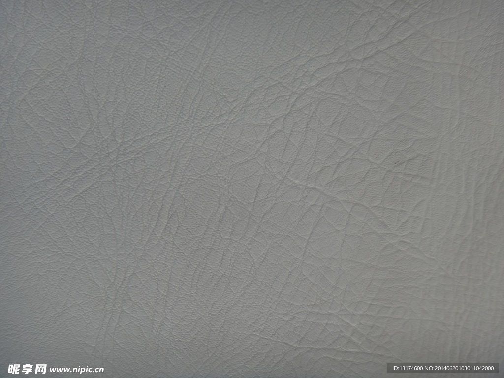 皮纹