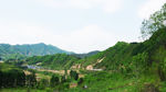 青山