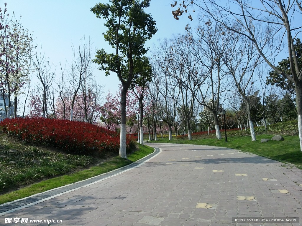 公园风景