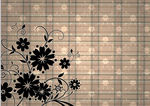 花纹