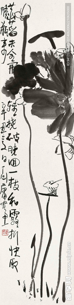 荷花小鸟