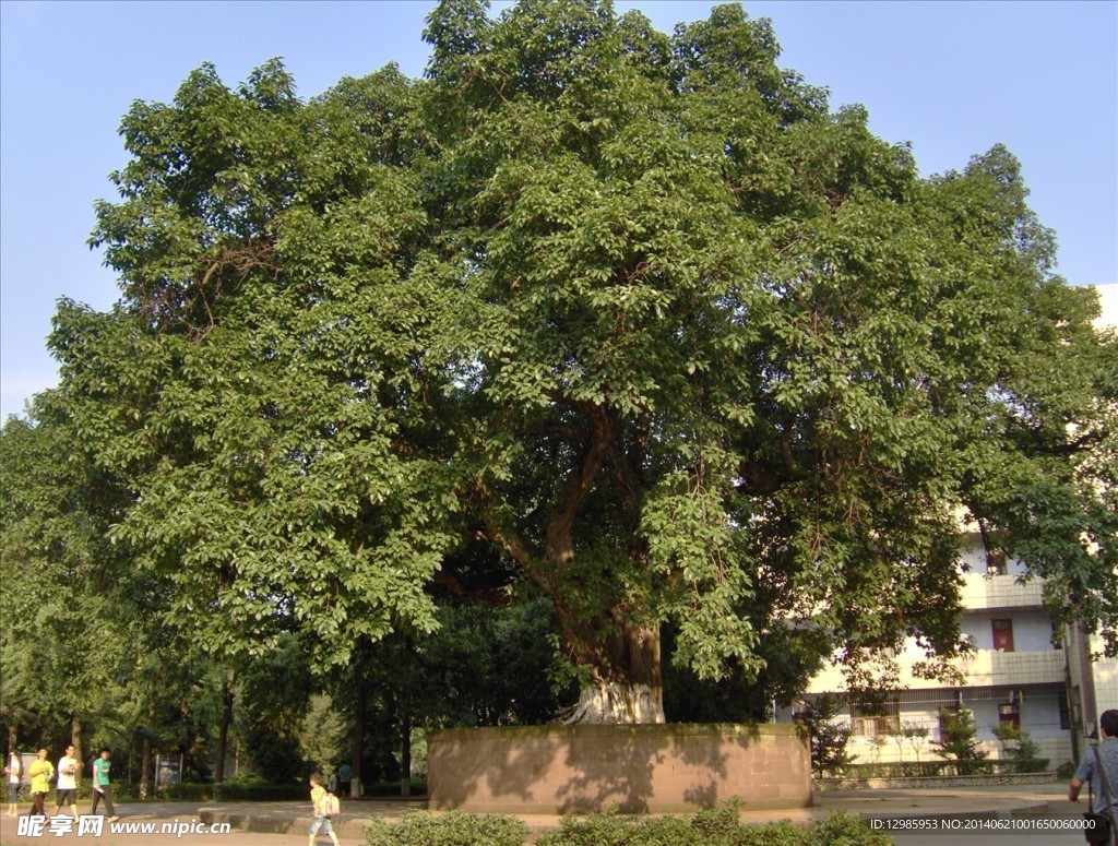 宜宾职业技术学院