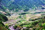 朱鹮栖息地寨沟全貌