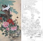 牡丹鸽子