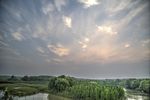 崇明岛湿地