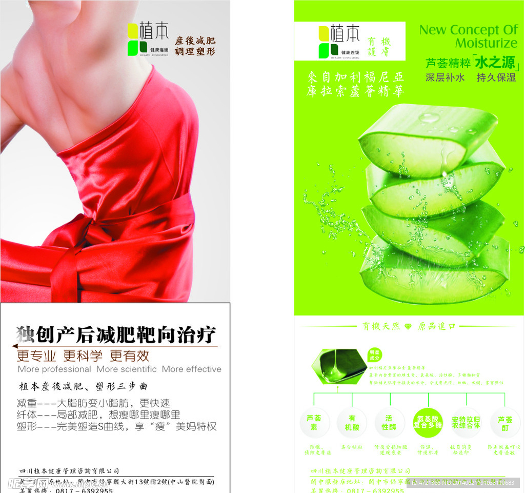植本展架