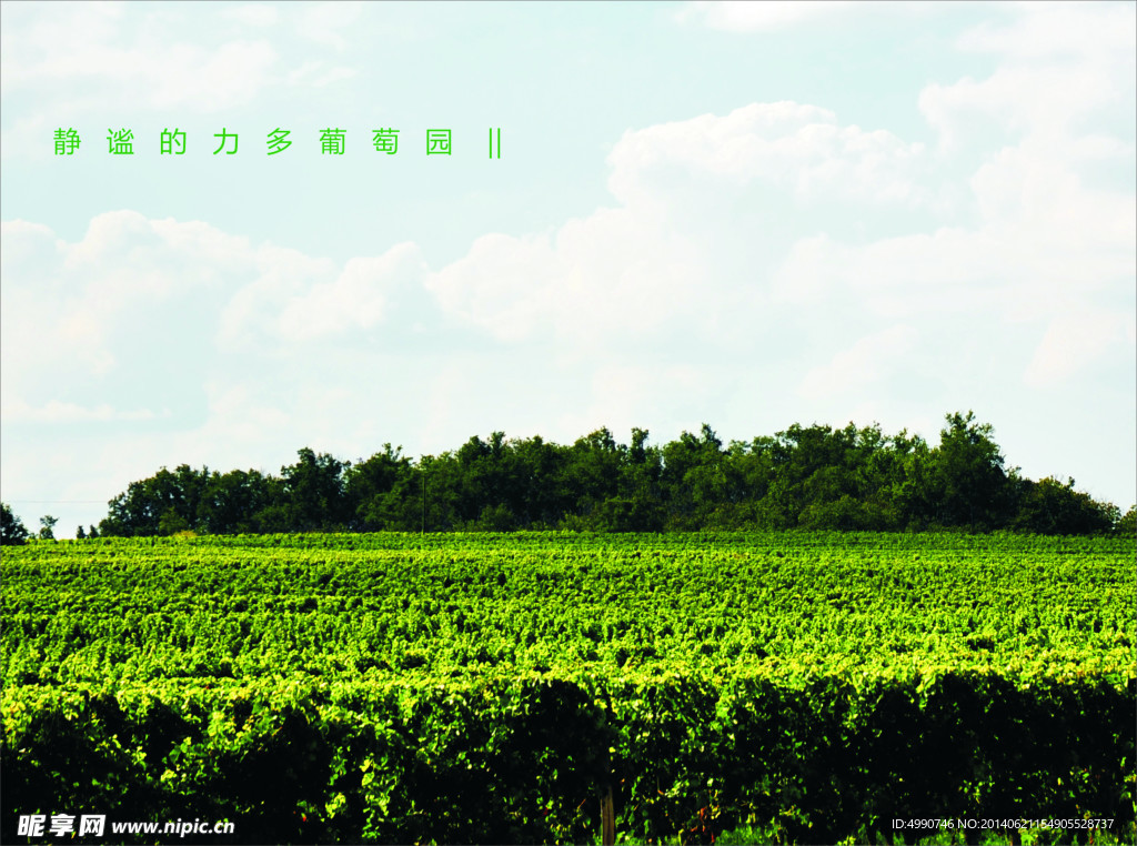 法国葡萄酒园