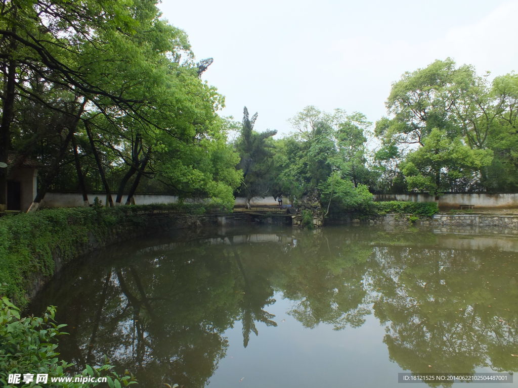 池塘风景