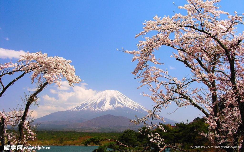 富士山