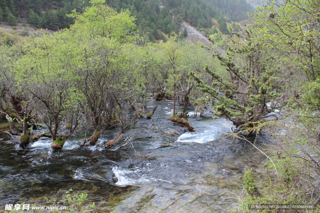 九寨沟溪水