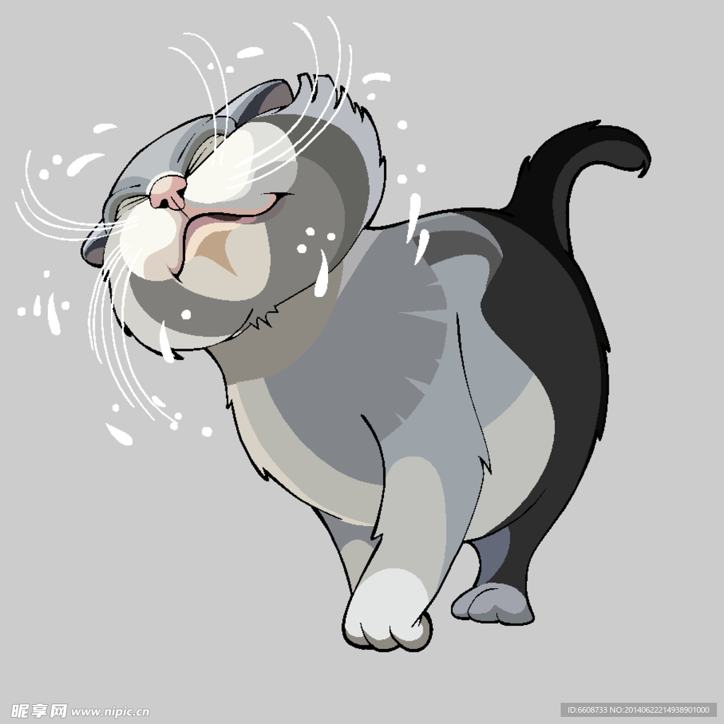 小猫