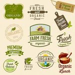 果汁商标图标 饮料LOG