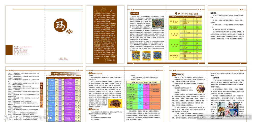 玛咖宣传册