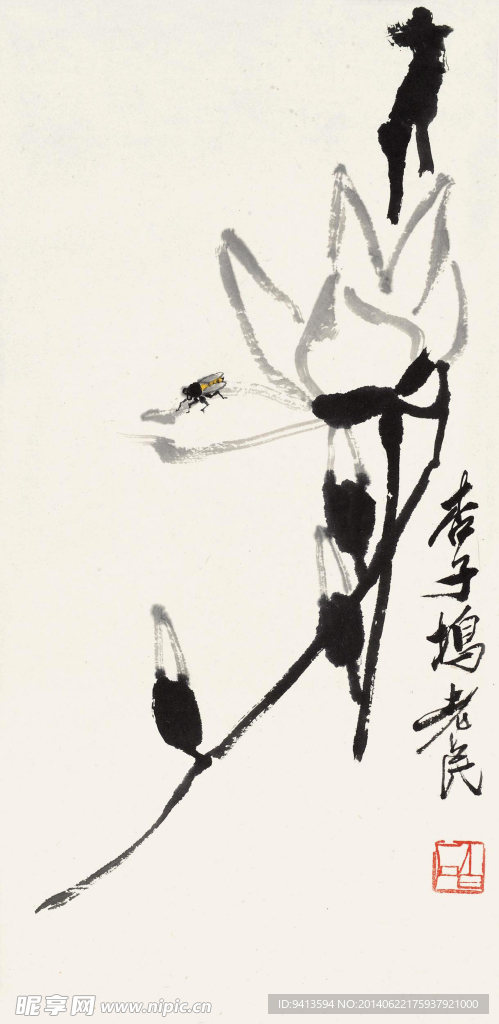 玉兰草虫