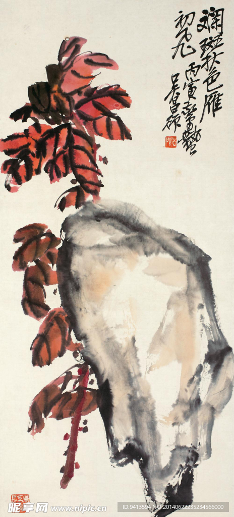 雁来红