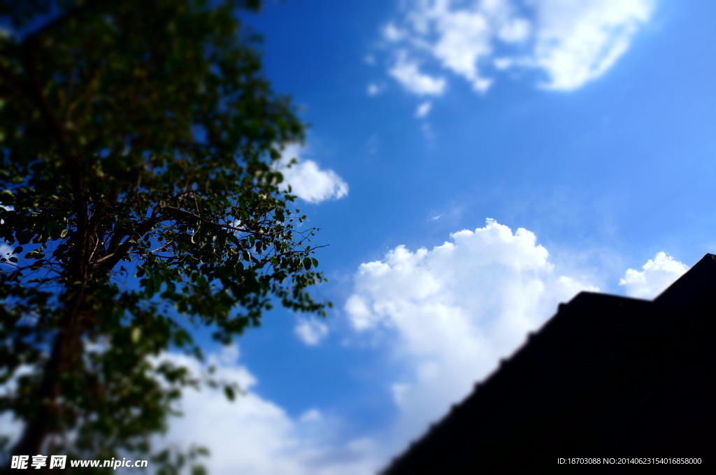 小院的天空