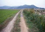 公路