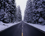 公路 下雪道路